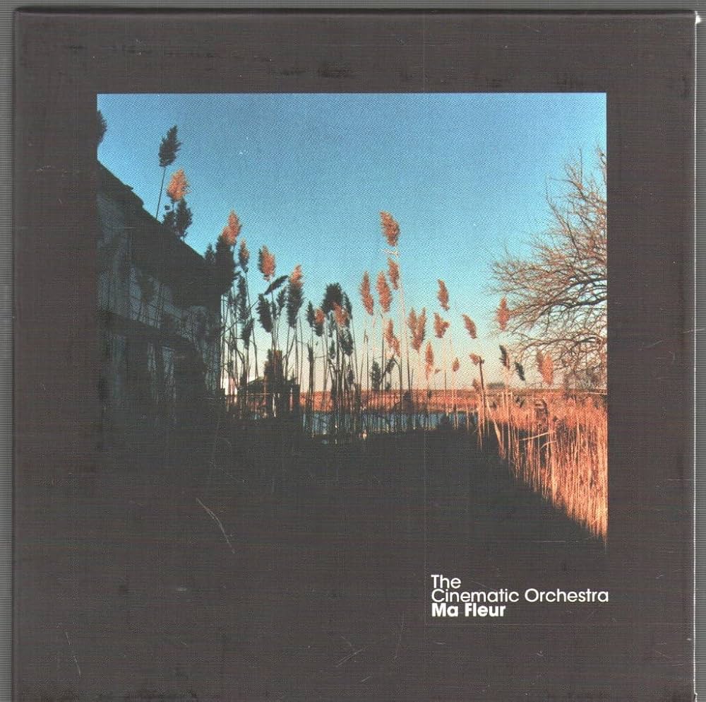 その他 Cinematic Orchestra [CD] The Cinematic Orchestra – Every Day – 2 x Vinyl (Tip-On